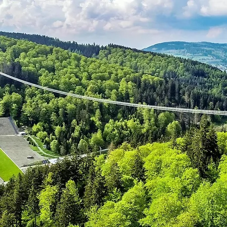 Belvita 1 Mit Hallenbad & Sauna Willingen (Upland)